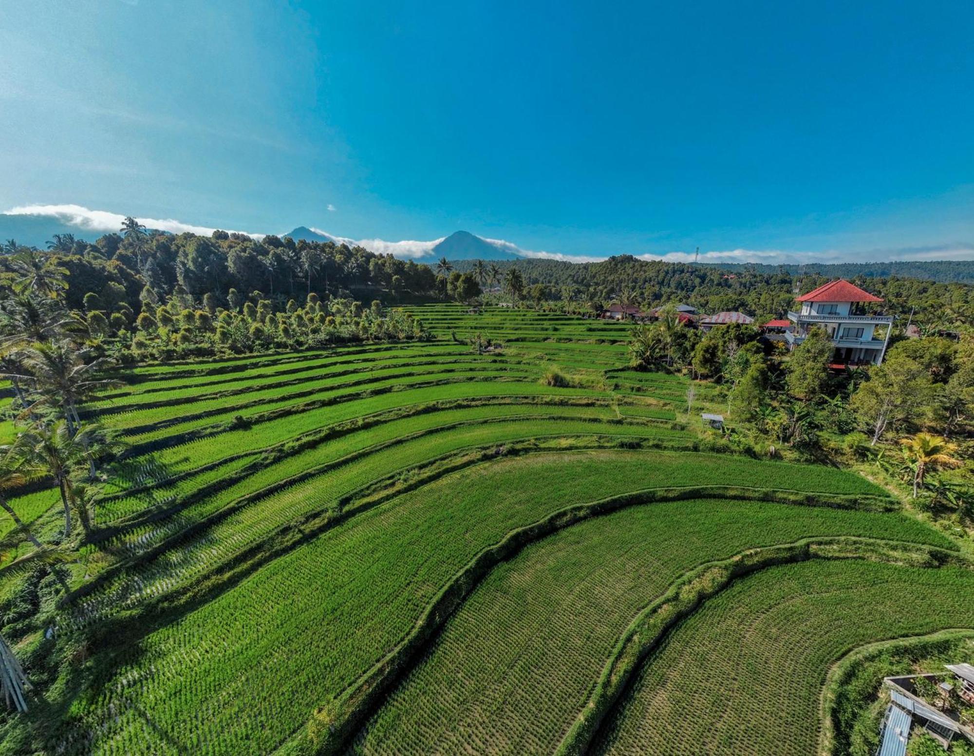 Candra Cottage Munduk Eksteriør bilde
